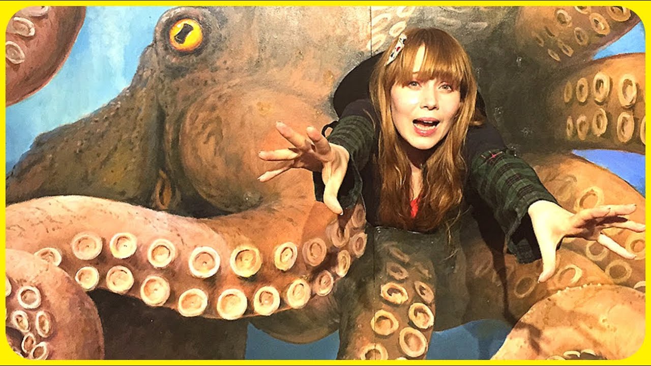 THE DAY I GOT EATEN BY AN OCTOPUS optical illusions