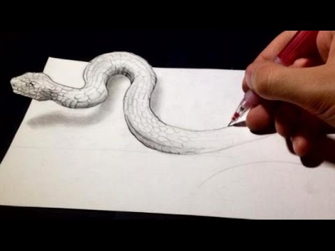 Drawing Anamorphic Snake - Optical Illusion