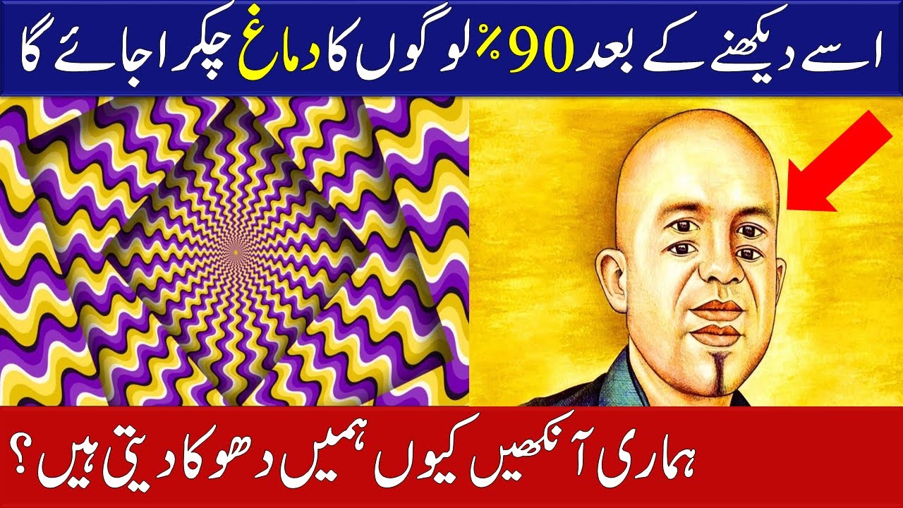 10 Amazing Optical illusions Arts That Will Trick Your Eyes | Optical illusions | Arts Drawings