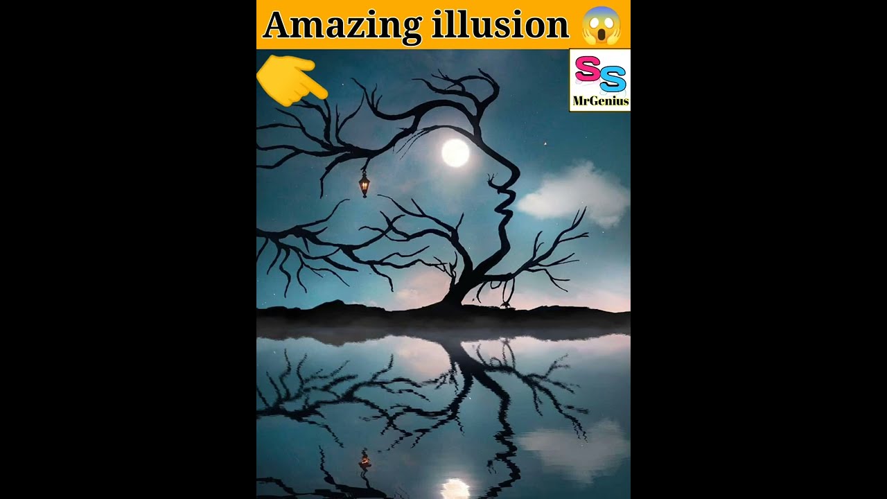 Optical illusion image | Amazing illusion | #shorts #youtubeshorts #viral #illusion #MrGenius