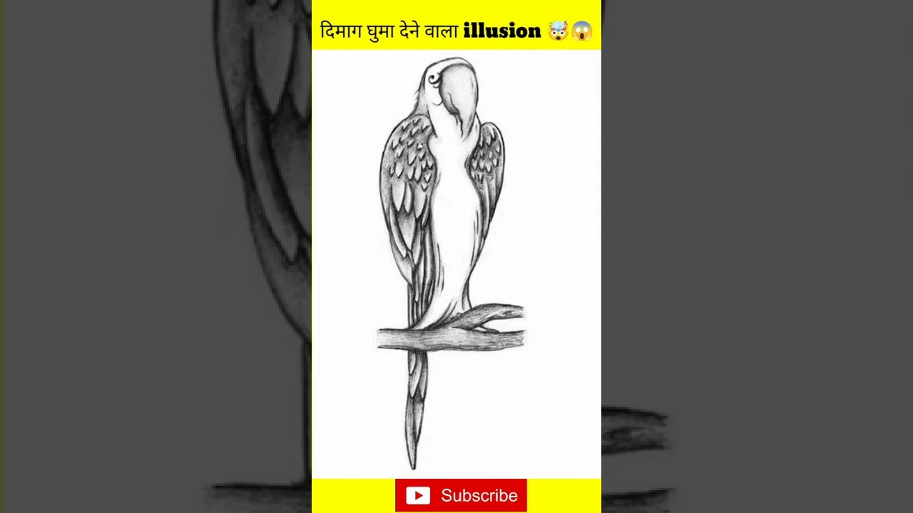 ये illusion आपका दिमाग हिला देगा 😱 #shorts #illusion #opticalillusion #illustration(4)